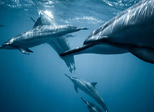 体育博彩-振兴足球 青少年是关键